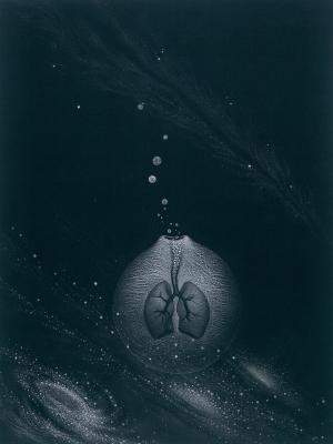 image of JPr-2002021