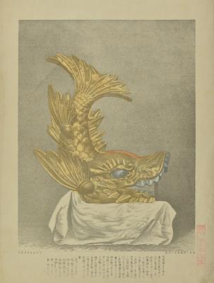 image of JPrM-2022001MPT