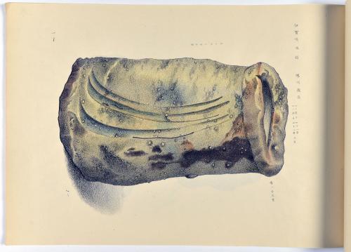 image of JPrM-1993073MPC