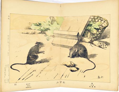 image of JPrM-1998006MPC