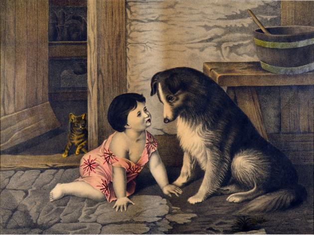 image of JPrM-1993123MPC